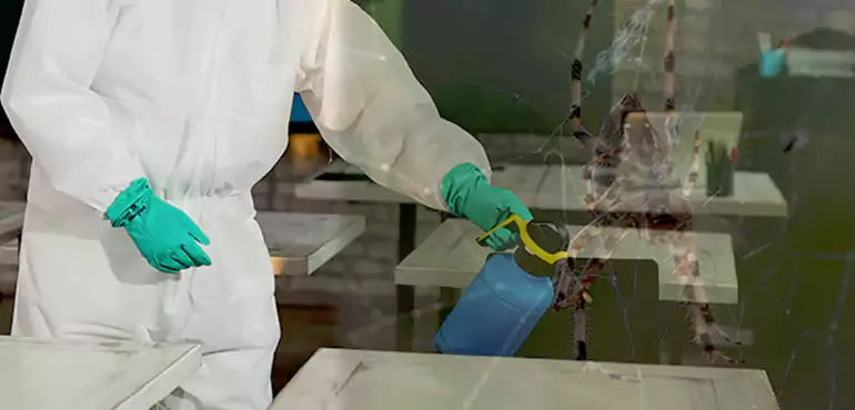 Why Buyers Still Want Homes With Pest Infestations in Fort Worth, TX?