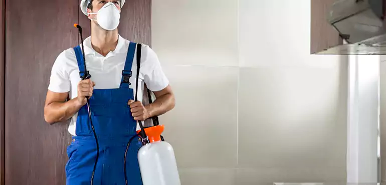 Why Fort Worth Homeowners Choose Us When Pests Make Selling Difficult